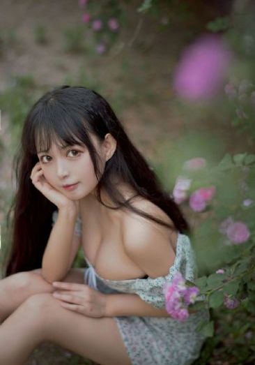 以爱为营电视剧在线观看