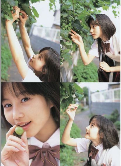 坎贝奇三部曲在线观看