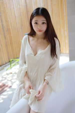 懒猫的狮子倒影2