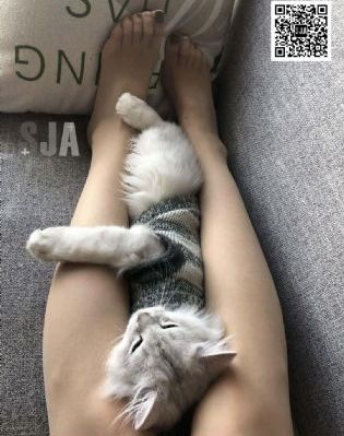 灭火宝贝伦理