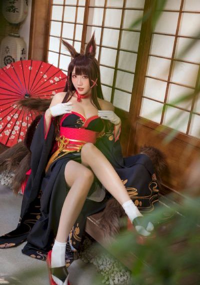 不道德公会动画第一季