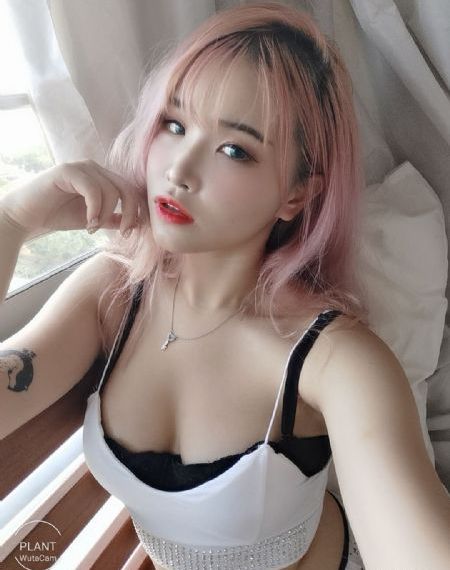 雍正王朝免费看