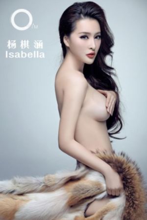 完美家庭 电视剧