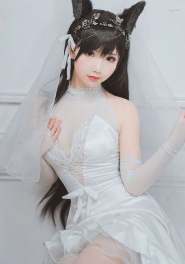 妻子的职业