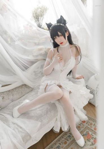 度年华电视剧免费观看