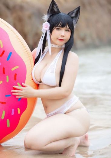 博士之日