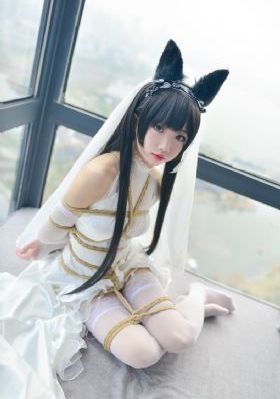 私教贿赂
